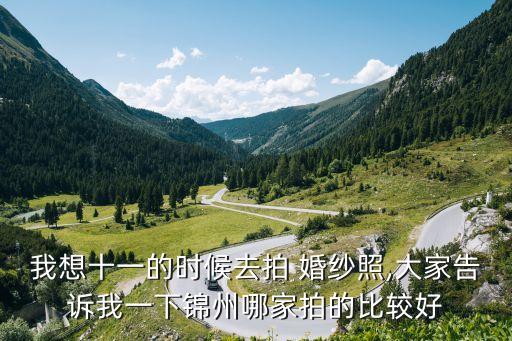 费加罗国际婚纱