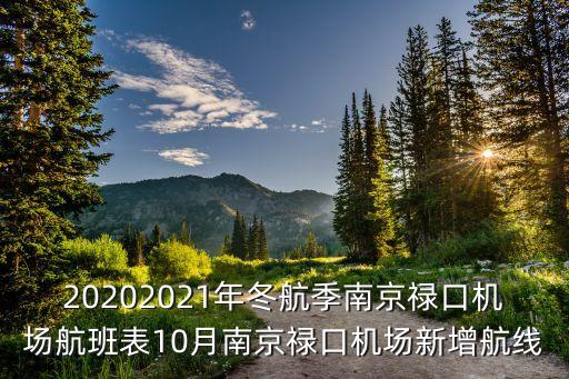 20202021年冬航季南京禄口机场航班表10月南京禄口机场新增航线