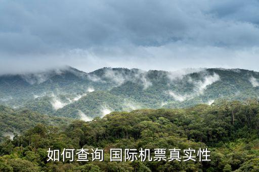 如何查询 国际机票真实性