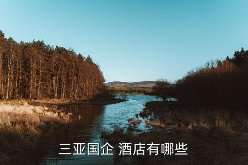 三亚国企 酒店有哪些