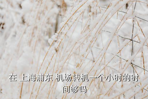 在 上海浦东 机场转机一个小时的时间够吗