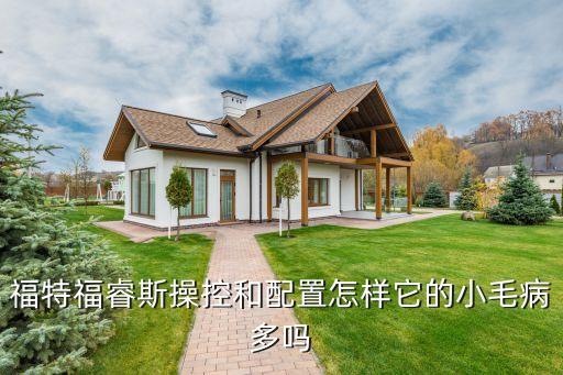 福特福睿斯操控和配置怎样它的小毛病多吗