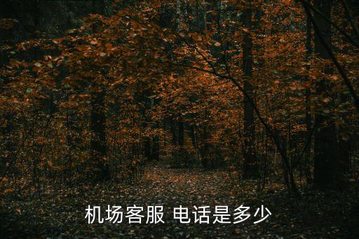 首都机场国际到达航班查询电话,深圳到北京首都机场航班查询