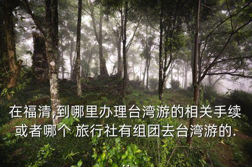 福建光大国际旅行社有限公司,广东光大国际旅行社有限公司