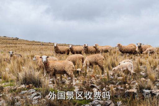 国外游的费用多少钱,国外的钱转到国内要哪些费用