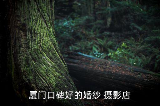 国外婚礼纪实摄影,如何选择婚礼跟拍摄影师?