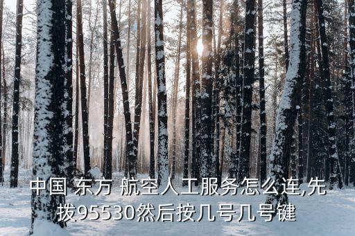 中国 东方 航空人工服务怎么连,先拨95530然后按几号几号键
