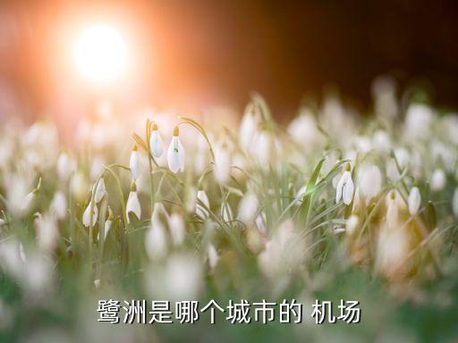 鹭洲是哪个城市的 机场
