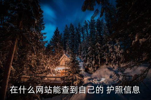 在什么网站能查到自己的 护照信息