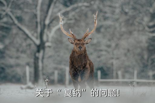 戛纳国际酒店在哪