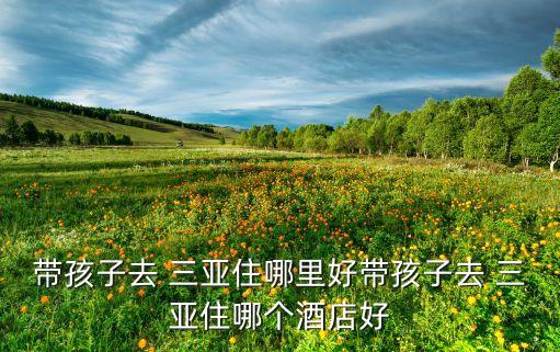 带孩子去 三亚住哪里好带孩子去 三亚住哪个酒店好