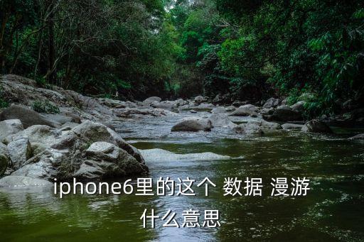 iphone6里的这个 数据 漫游什么意思