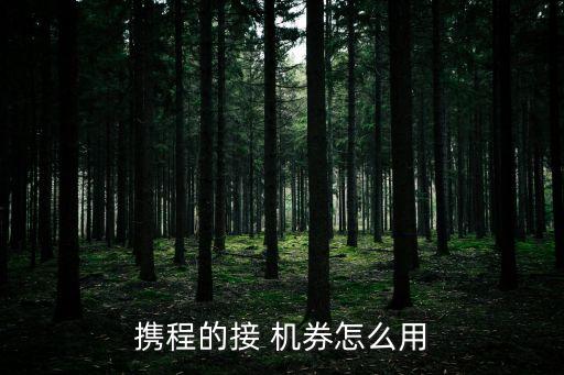 国际接送机券,南航接送机券怎么使用