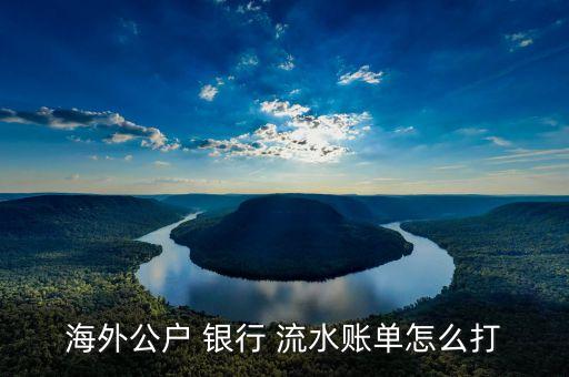 在国外可以办银行流水证明吗,办国外签证要银行流水吗