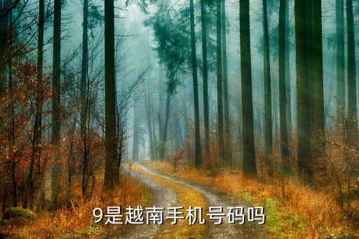 国际电话区号09