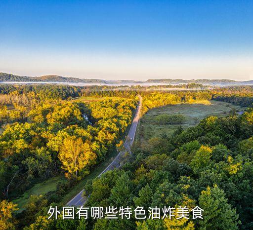 国外点快餐,为什么不是外国快餐而是中式快餐?