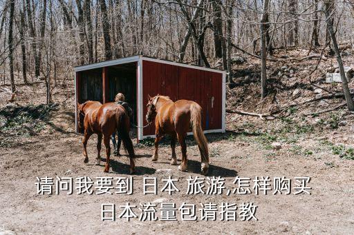 请问我要到 日本 旅游,怎样购买 日本流量包请指教