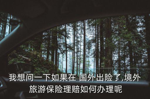 到国外旅游上保险公司,国外旅游导航软件哪个好
