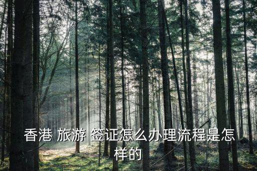  香港 旅游 签证怎么办理流程是怎样的