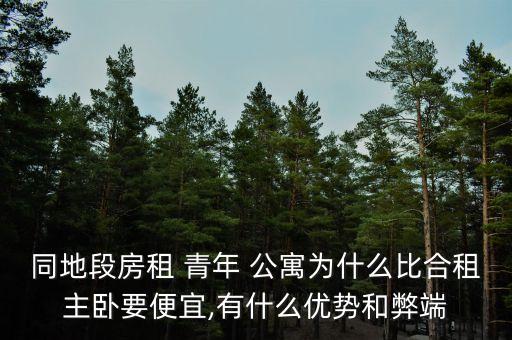 同地段房租 青年 公寓为什么比合租主卧要便宜,有什么优势和弊端