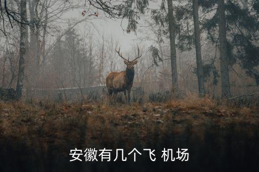 安徽有几个飞 机场
