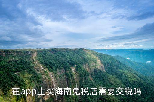 在app上买海南免税店需要交税吗