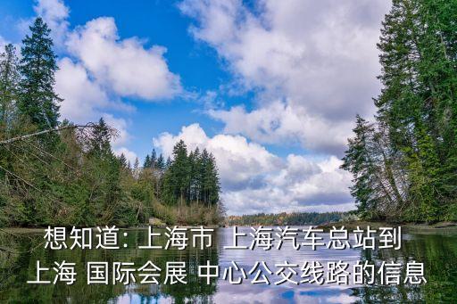 想知道: 上海市 上海汽车总站到 上海 国际会展 中心公交线路的信息