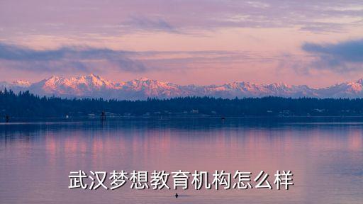 武汉梦想教育机构怎么样