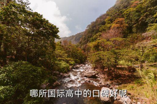 哪所国际高中的口碑好呢