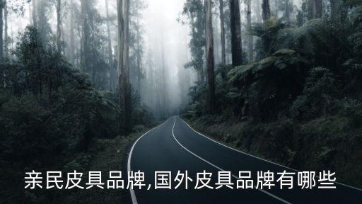 国外亲民皮具品牌,国外皮具品牌有哪些