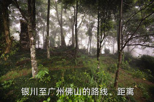 宁夏银川国际会议中心,扬子江国际会议中心