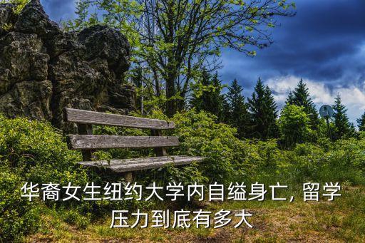 华裔女生纽约大学内自缢身亡, 留学压力到底有多大