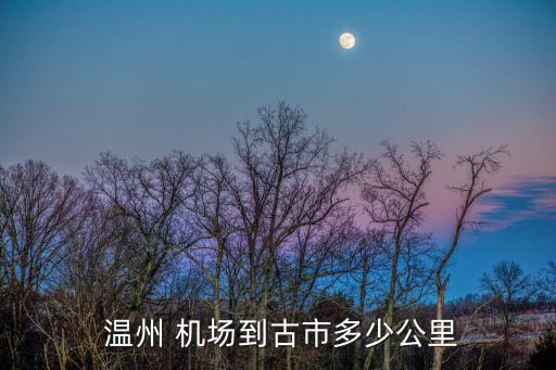  温州 机场到古市多少公里
