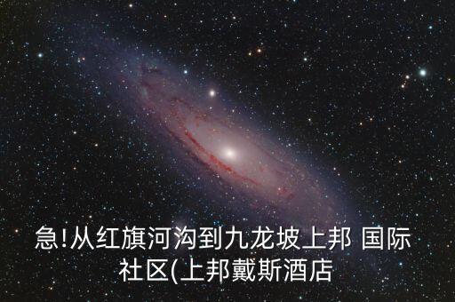 从石桥铺到国际社区,重庆九龙坡区石桥铺社区电话