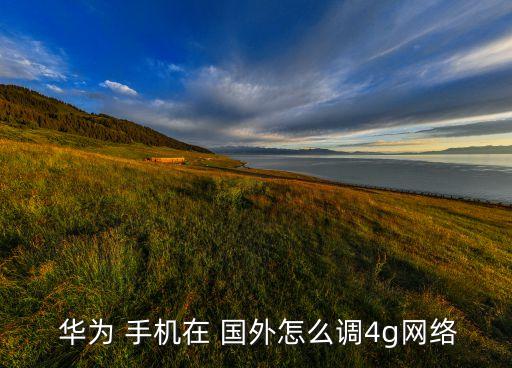 华为 手机在 国外怎么调4g网络