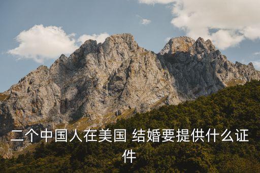 二个中国人在美国 结婚要提供什么证件