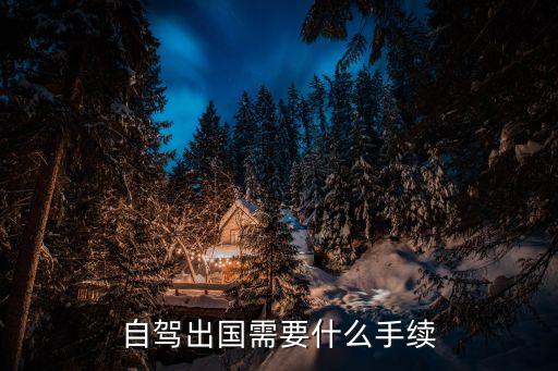自驾出国需要什么手续
