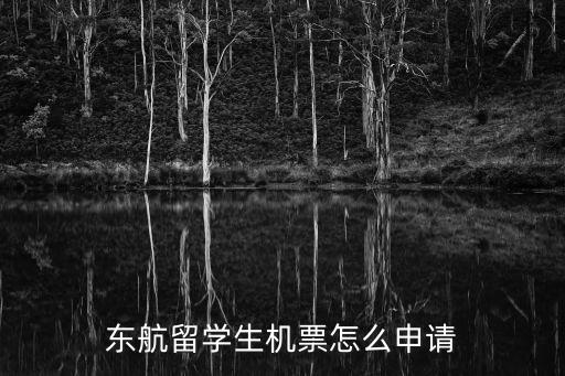 东方航空国外订票,怎么订购东航机票?看这里!