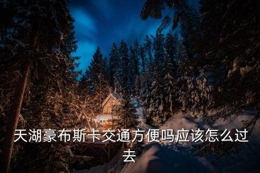 天湖国际城,天湖城二手房