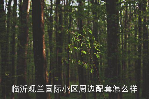 临沂观兰国际小区周边配套怎么样