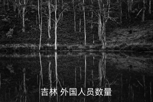 吉林 外国人员数量