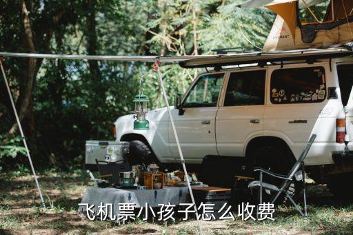 飞机票小孩子怎么收费