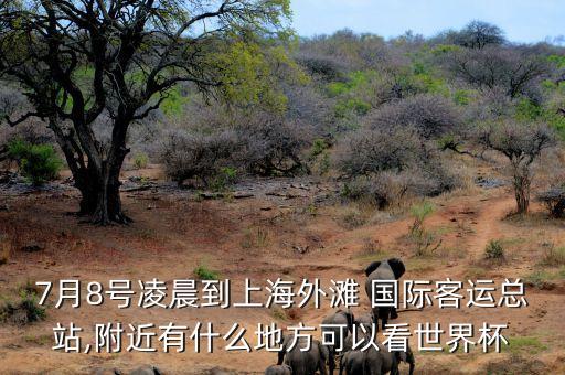 7月8号凌晨到上海外滩 国际客运总站,附近有什么地方可以看世界杯