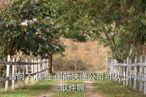 请问下,哪些 国际快递公司可以上门取件啊