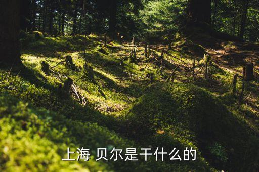 上海 贝尔是干什么的