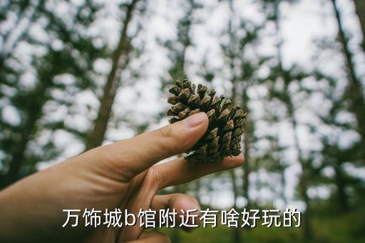 万饰城b馆附近有啥好玩的