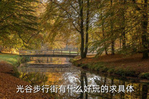  光谷步行街有什么好玩的求具体