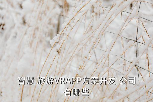 智慧 旅游VRAPP方案开发 公司有哪些