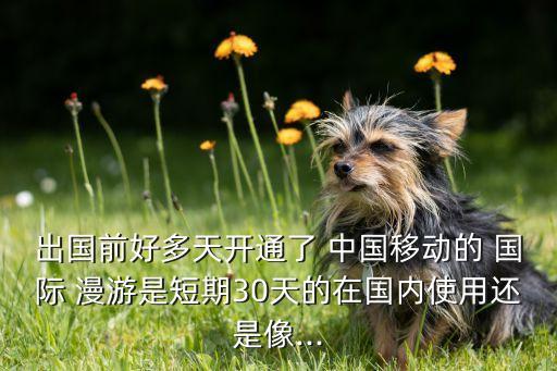 中国移动国际漫游快么,如何开通国际漫游服务中国移动