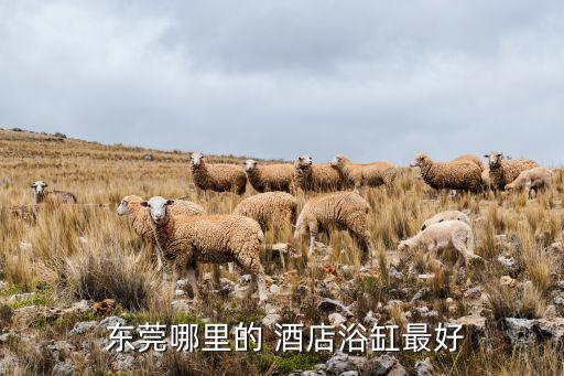 东莞东城华南国际酒店夜总会